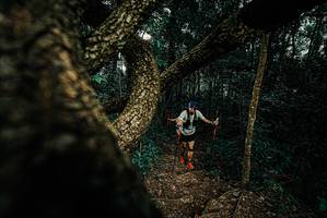 BIB: 
                            <button type="button" onclick="openModal(25694435)" class="btn btn-primary btn-sm float-right btn-popup" data-toggle="modal" data-target=".modal-high-quality">
                        <i class="fas fa-shopping-cart"></i> Add to Cart
                    </button>
                                            <button type="button" onclick="isThisMe(25694435, true)" class="btn btn-success btn-sm float-right btn-popup btn-isme hidden" data-toggle="tooltip" data-placement="bottom" title="นี่คือรูปของคุณใช่ไหม คลิกที่นี่เพื่อเอาเข้าอัลบั้ม">
                        <i class="fas fa-plus"></i> Add to album
                    </button>
                    <button type="button" onclick="isThisMe(25694435, false)" class="btn btn-warning btn-sm float-right btn-popup btn-isnotme hidden">
                        <i class="fas fa-ban"></i> Remove from album
                    </button>